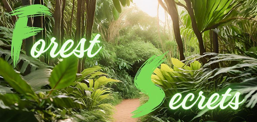forestsecrets.com