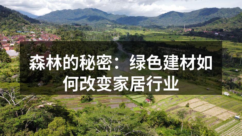 森林的秘密：绿色建材如何改变家居行业
